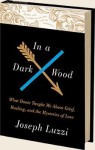 InADarkWoodBOOKCOVER